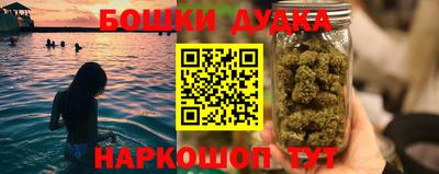амф Дубна