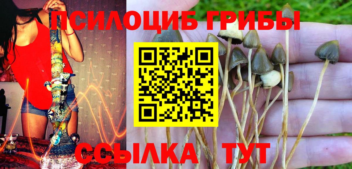 Галлюциногенные грибы Cubensis Кулебаки